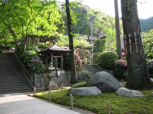 つつじ寺20