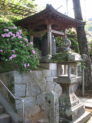 つつじ寺21