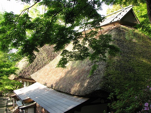 つつじ寺27