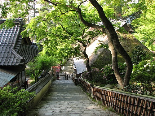 つつじ寺29