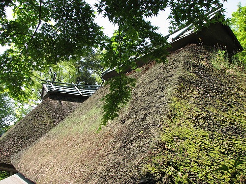 つつじ寺39