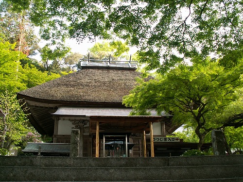 つつじ寺31
