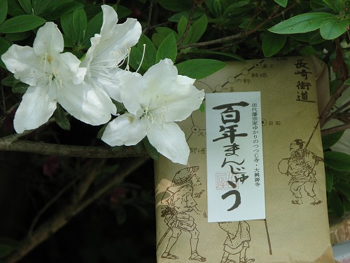 お茶処8