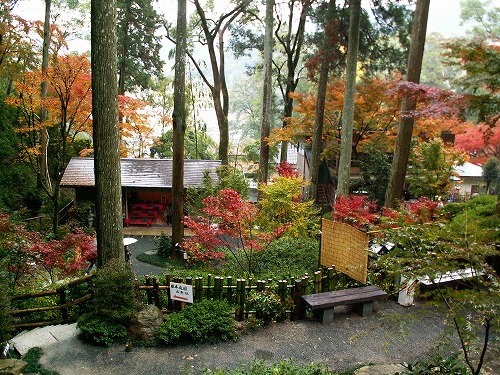 お茶処19