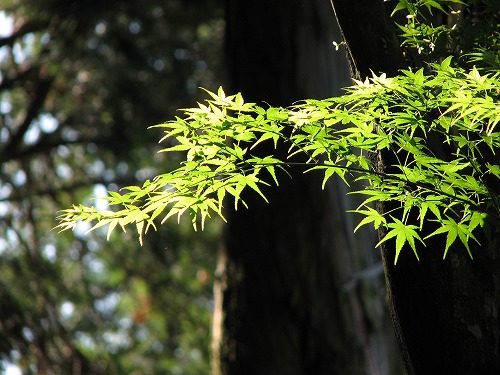 契園28