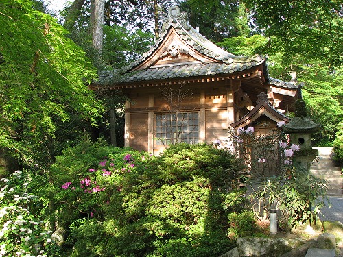 大興善寺33