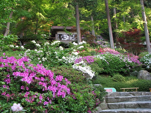 大興善寺2