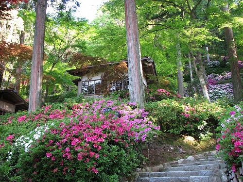 大興善寺8