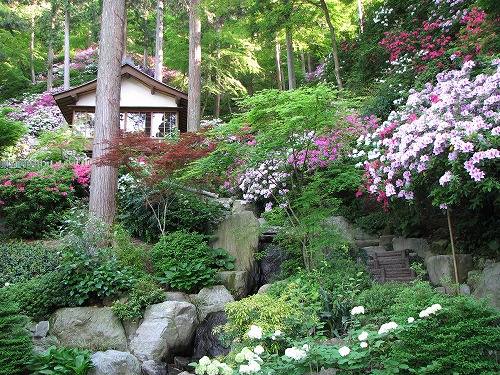大興善寺1