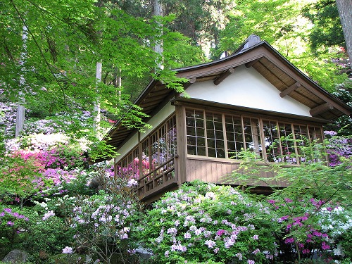 大興善寺19