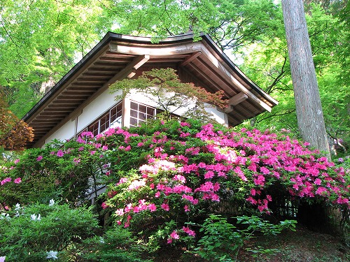 大興善寺5