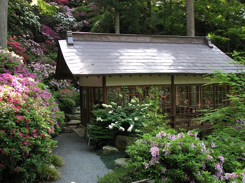 大興善寺23