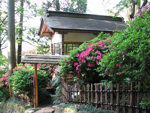 大興善寺4