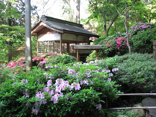 大興善寺6