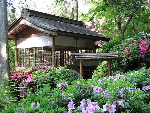 大興善寺7
