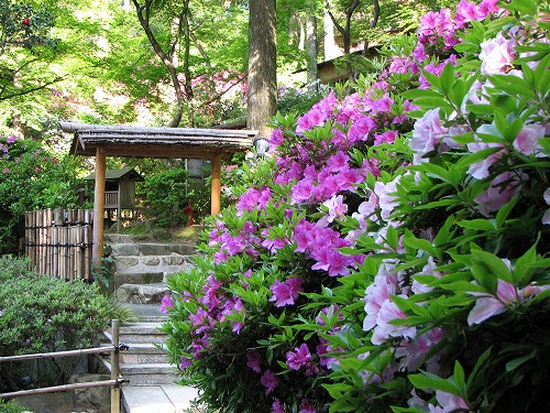 大興善寺36