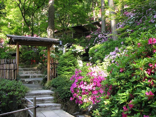 大興善寺37