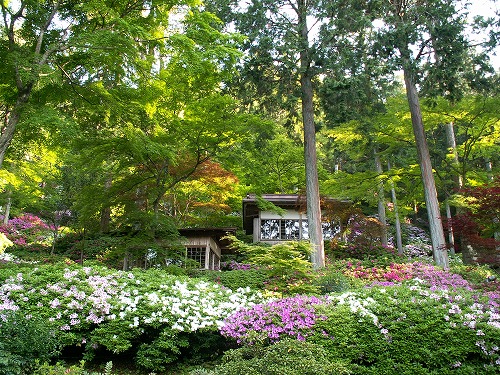 大興善寺3