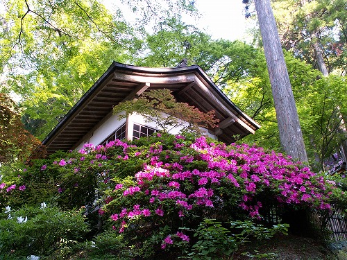大興善寺9
