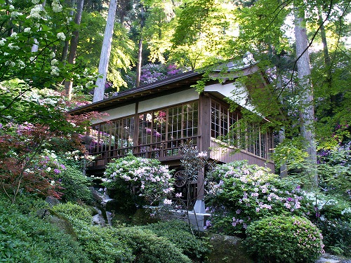 大興善寺24