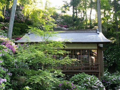 大興善寺25