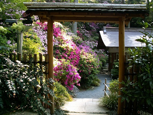 大興善寺29