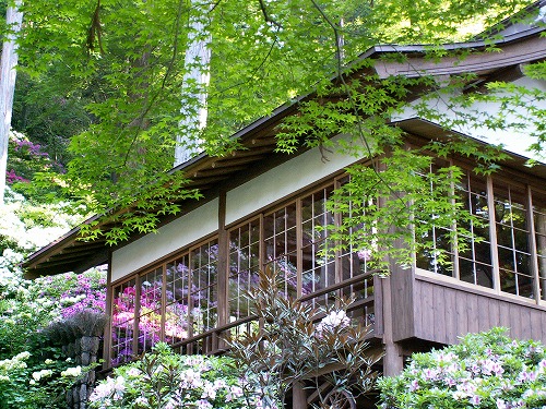 大興善寺28