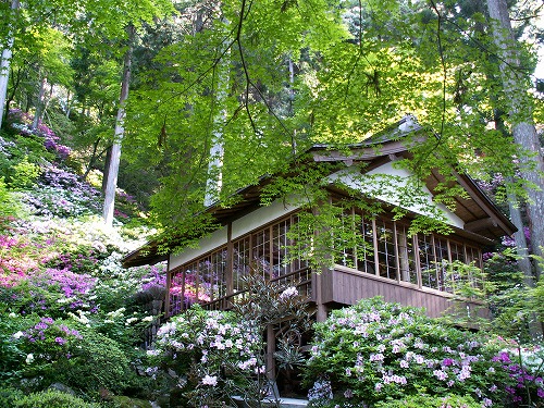 大興善寺30