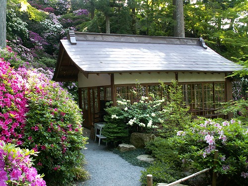 大興善寺31