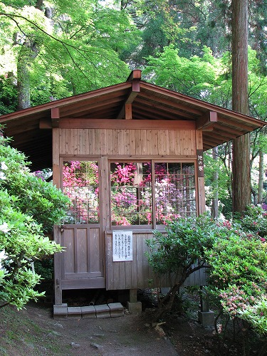 大興善寺26