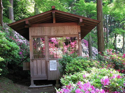 大興善寺5