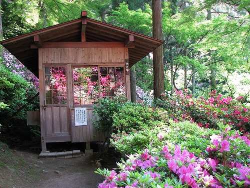 大興善寺7