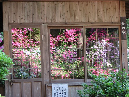大興善寺8