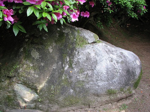 大興善寺1