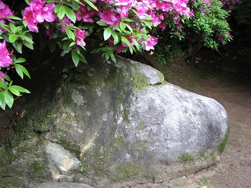 大興善寺2