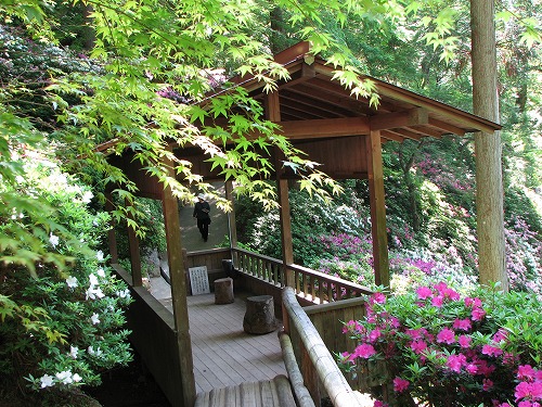 大興善寺24