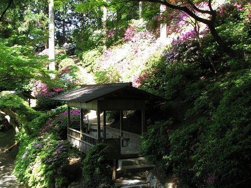 大興善寺25
