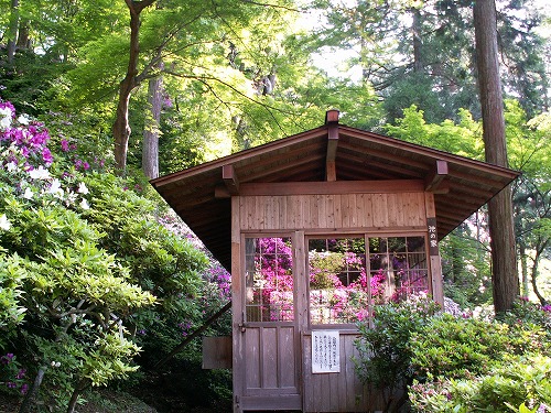 大興善寺10