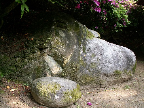 大興善寺3