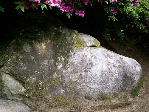 大興善寺4