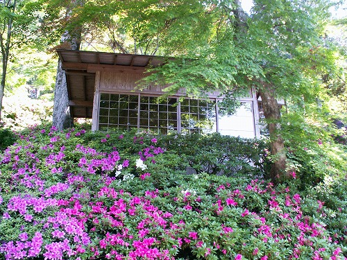 大興善寺15