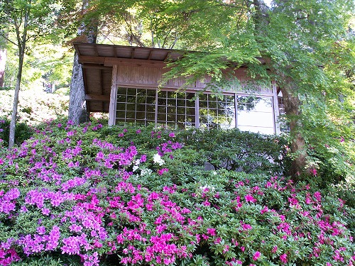 大興善寺16