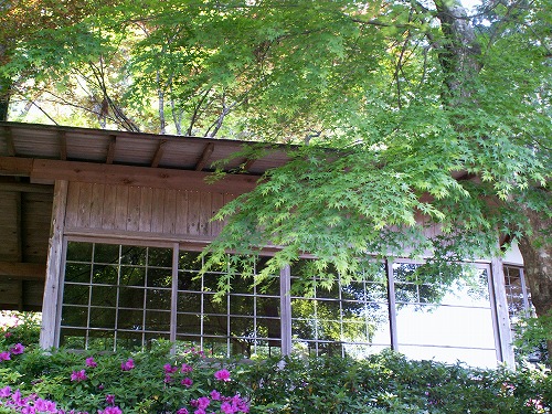 大興善寺18