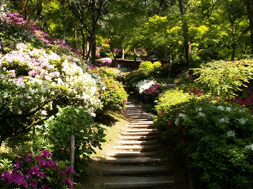 大興善寺22