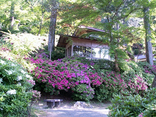 大興善寺21
