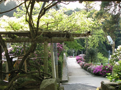 大興善寺18