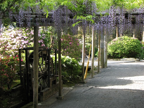 大興善寺15