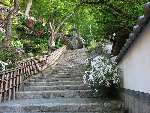 大興善寺26