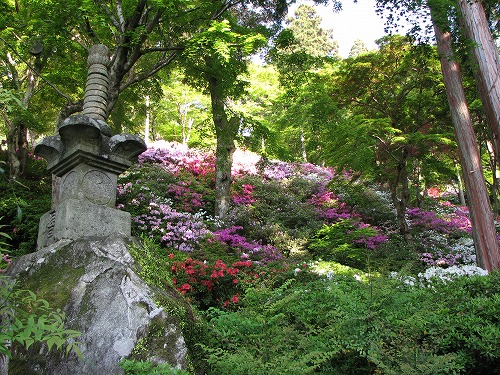 大興善寺28