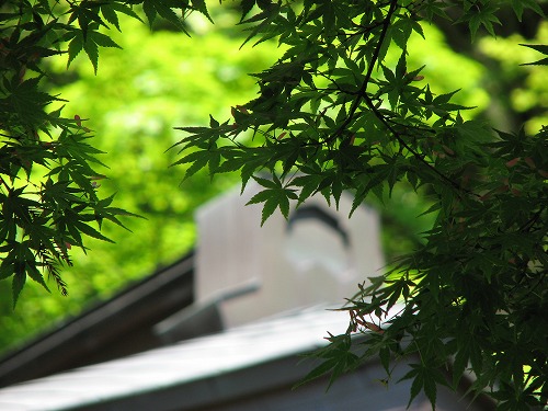 大興善寺3